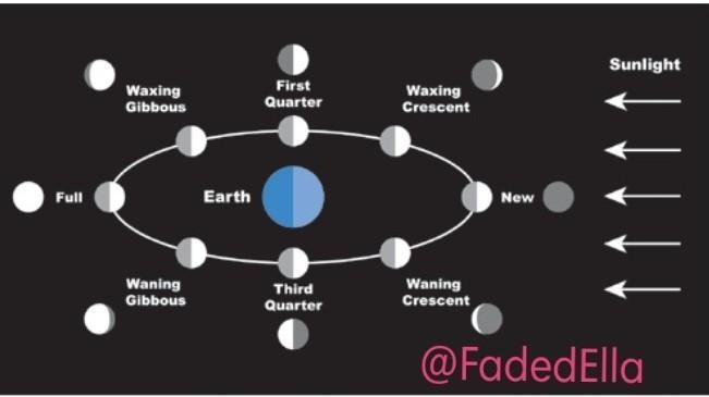 explain what causes eclipses and how often they occur compare the two types of eclipses-example-3