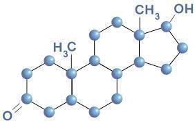 Which of these are a ring shaped lipid? - Amino acid - Fat - Steroid - Phospholipid-example-1