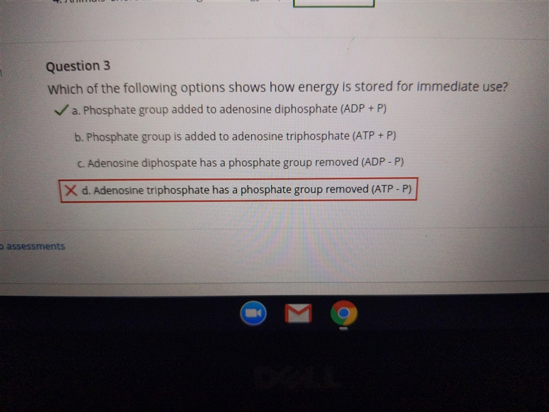 Which of the following options shows how energy is stored for immediate use? immediate-example-1