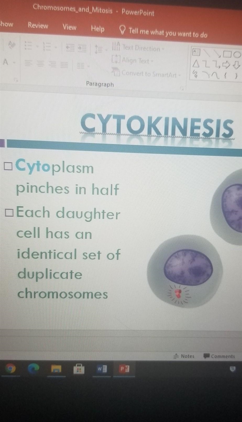 Put the steps of mitosis in the correct order-example-5