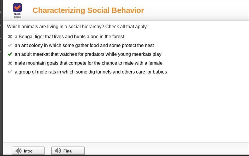 Which animals are living in a social hierarchy? Check all that apply a bengal tiger-example-1