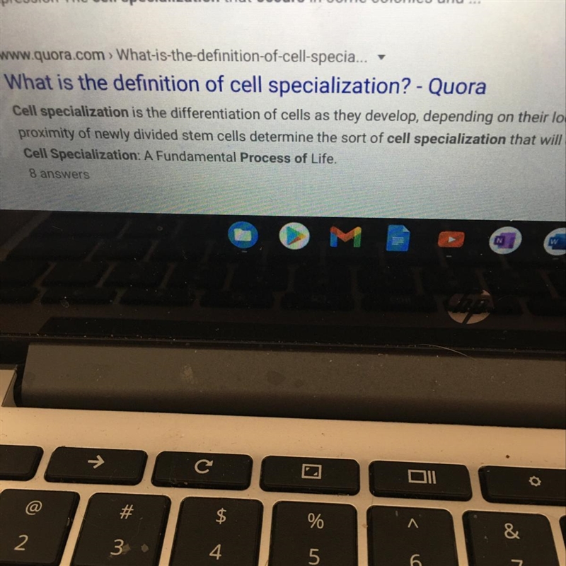 In which of these processes does cell specialization occur?-example-1