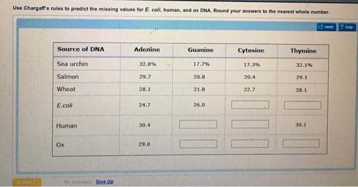 Use Chargaff’s rules to predict the missing values for E. coli, human, and ox DNA-example-1