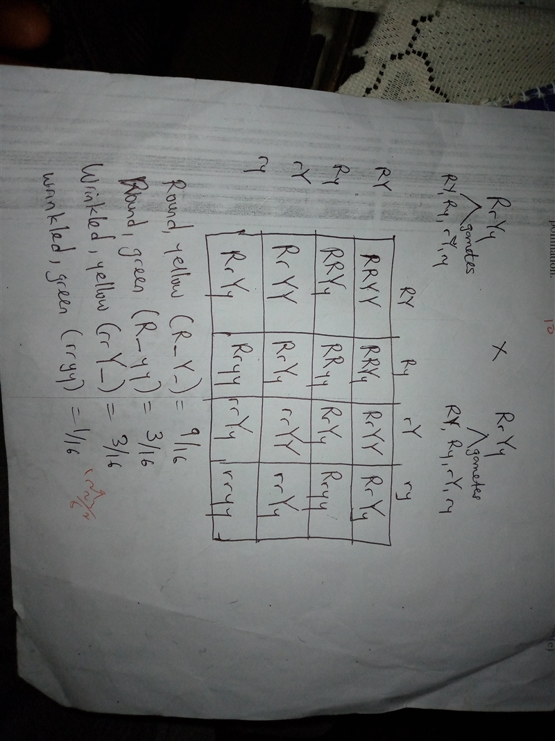 Please help me!! what is the probability that a yellow (Y) and wrinkled (r) pea will-example-1