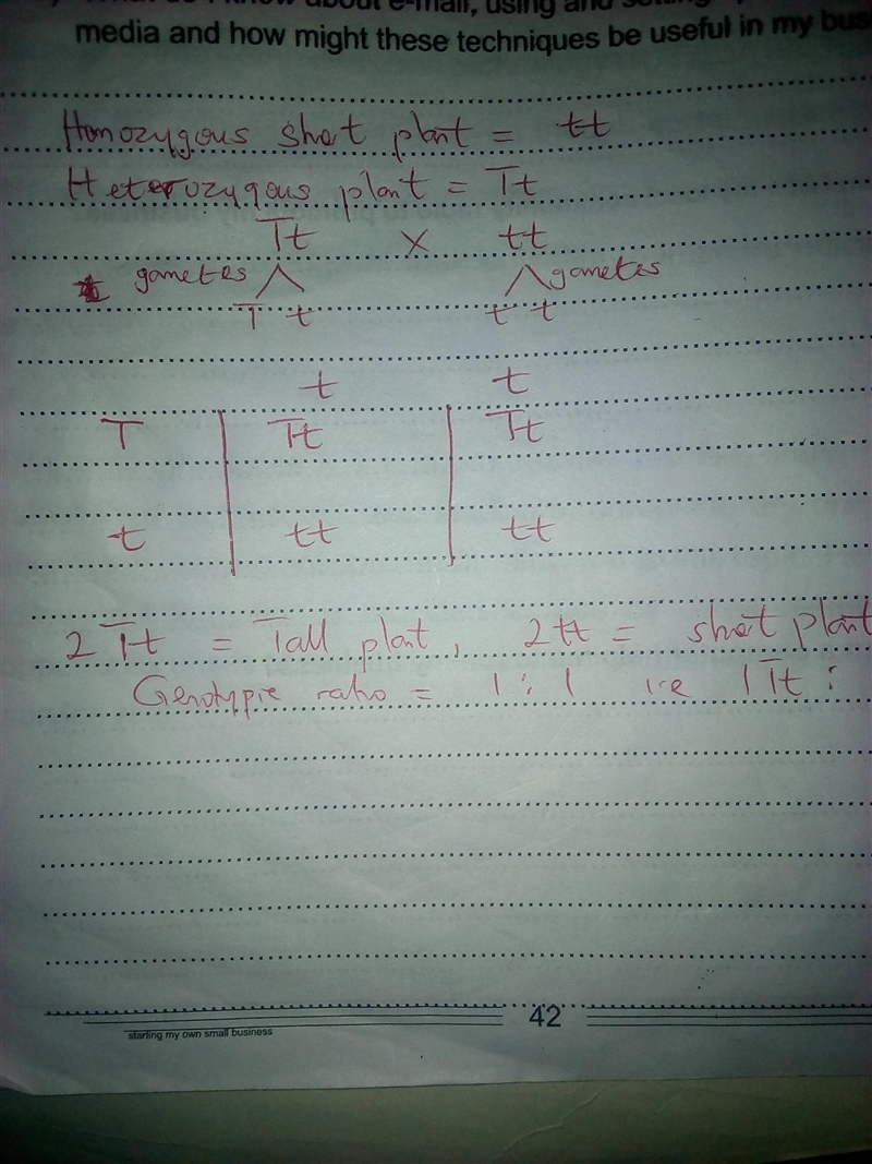 An F1 plant that is homozygous for shortness is crossed with a heterozygous F1 plant-example-1