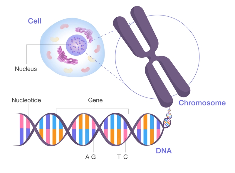 Which statements are true about variations in the genetic code? Select all that apply-example-1