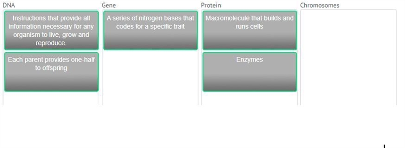 What is the relationship between DNA, chromosomes, and any organism? Drag and drop-example-1