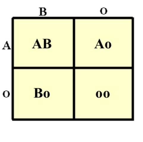 A completely heterozygous A+ blood typed man has children with a woman who is completely-example-1