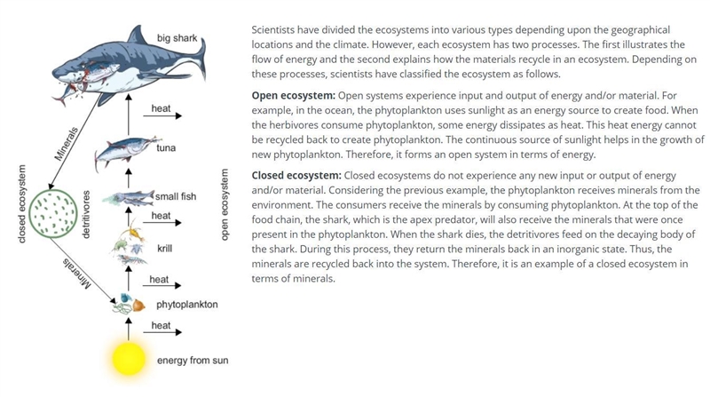 Which type of ecological system experiences no input or output of energy or material-example-1