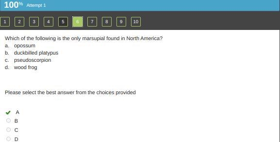 Which of the following is the only marsupial found in North America? a. opossum b-example-2