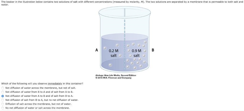 The beaker in the illustration below contains two solutions of salt with different-example-1