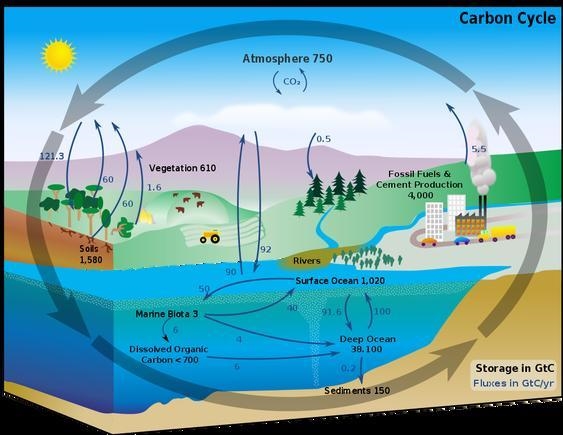 Example of FAST moving carbon.-example-1