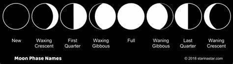 Describe the phases of the moon.-example-1