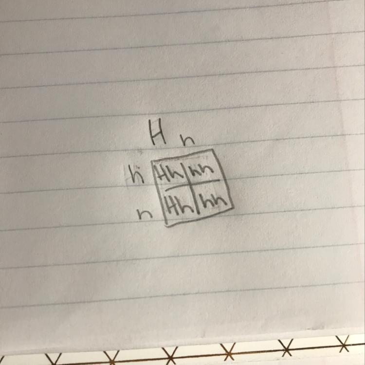 A boy is born with an extra finger on one hand. Extra digits are known to be common-example-1