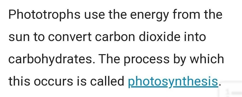 1. Define the following terms: a.Producer b.Autotraph c.Consumer d.Heterotroph e.Chemosynthesis-example-4