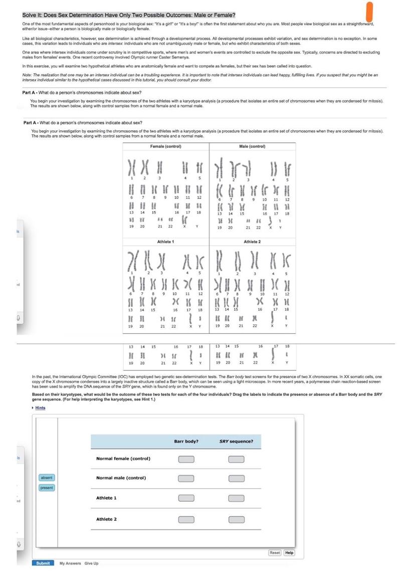 You begin your investigation by examining the chromosomes of the two athletes with-example-1