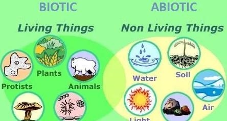 What is biotic factors-example-1