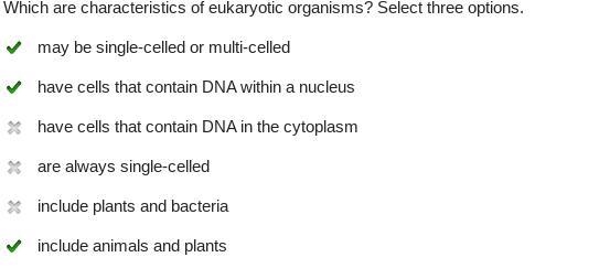 Please help! I completely forgot. Which are the characteristics of eukaryotic organisms-example-1