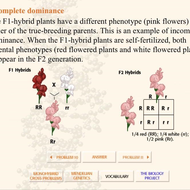 If you planted 100 seeds from this test cross, about how many would be white? How-example-1