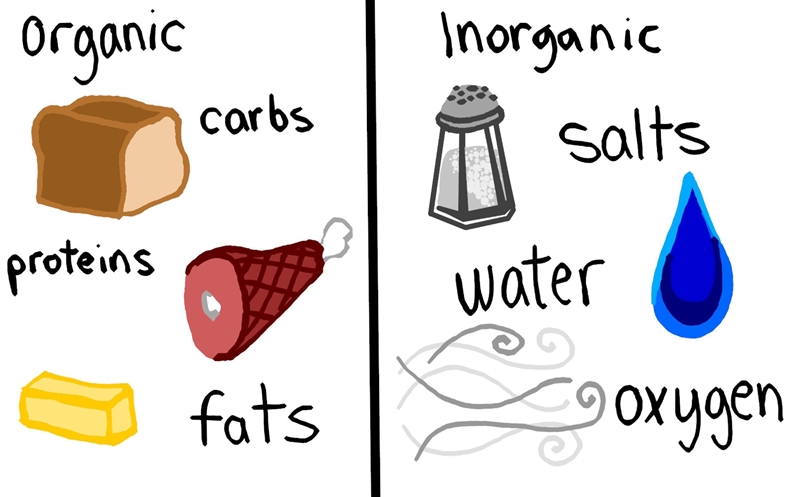 Question 3 of 25 2 Points Which of the following is an organic molecule? O A. H20 OB-example-1