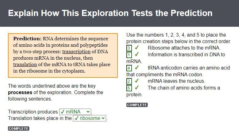 Transcription produces Translation takes place in-example-1