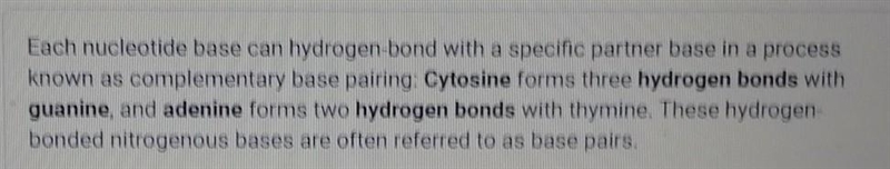 What base binds with Thymine?-example-1