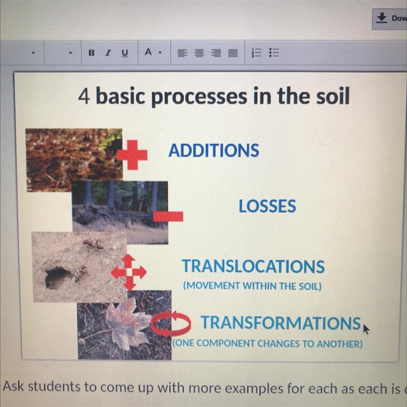 Which of the following is NOT a soil forming process? O Translocations O Gains O Losses-example-1