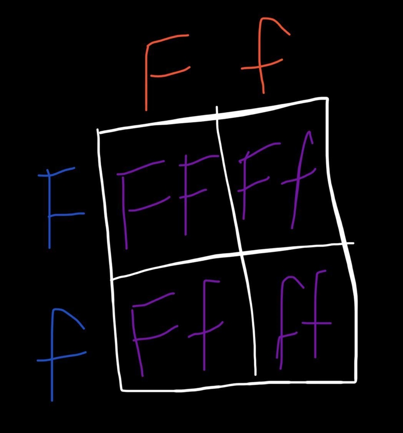 Parents that are heterozygous for having freckles (dominant) are crossed. Which correctly-example-1