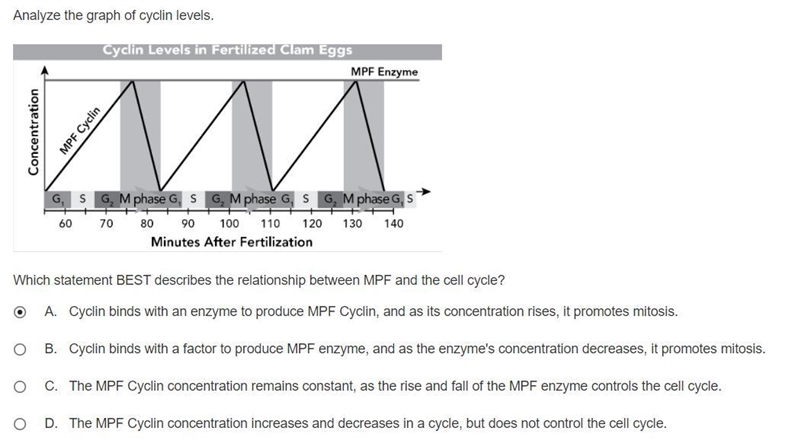 Which statement BEST describes the relationship between MPF and the cell cycle? A-example-1