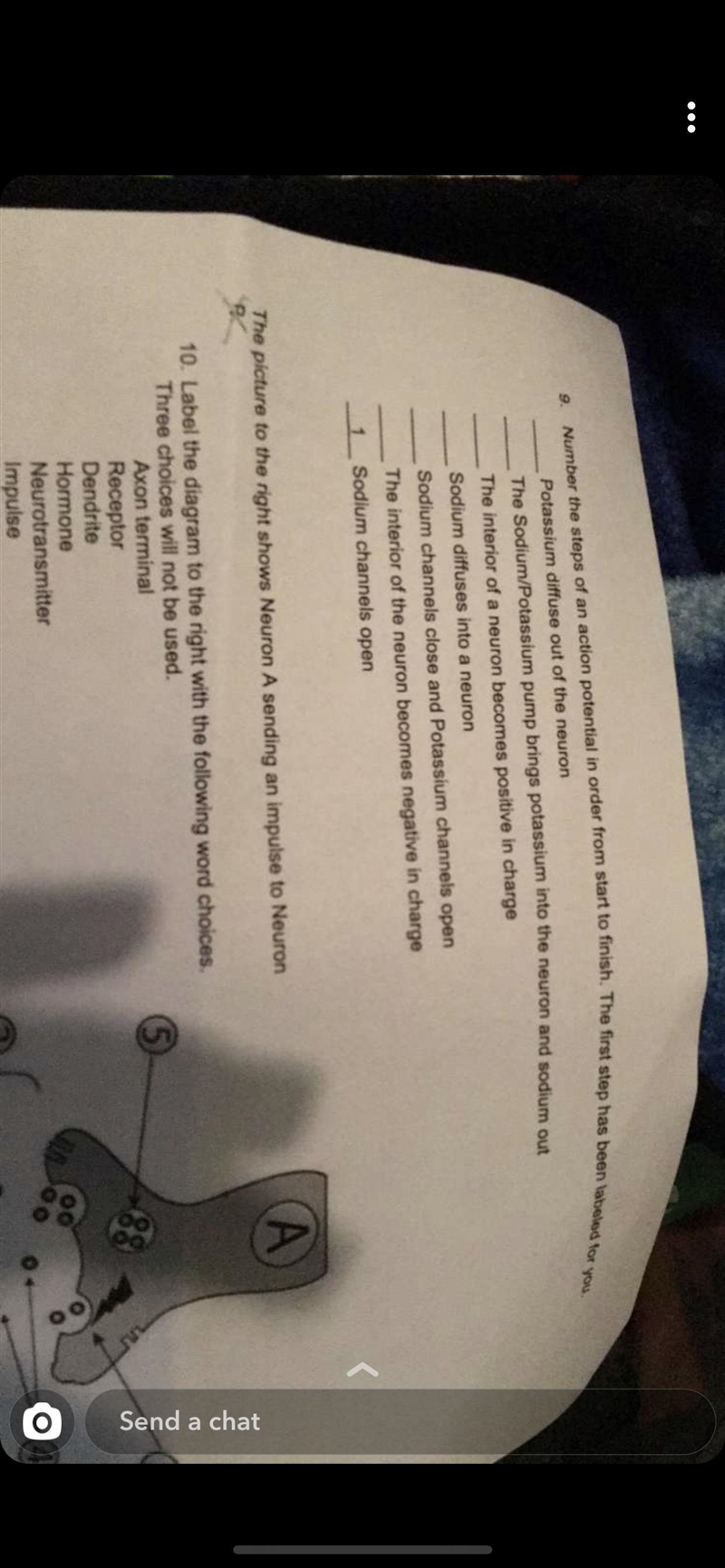 Can you help me complete this worksheet ? It’s about the nervous system and determining-example-1