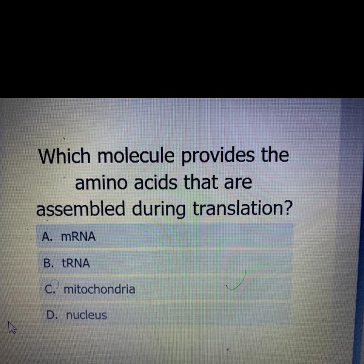 Which molecule provides the amino acids that are assembled during translation ?-example-1