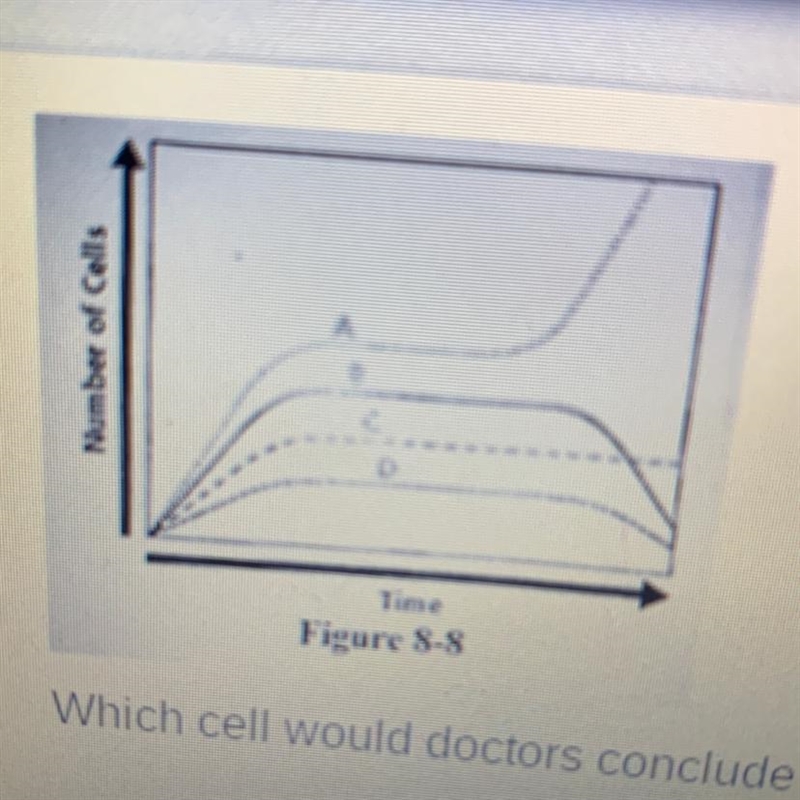 Which cell would doctors conclude is a cancerous mass? A. A B. B C. C D. C-example-1