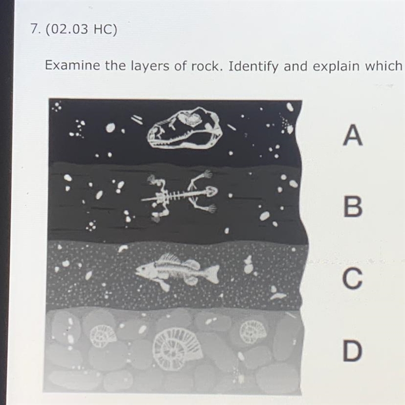 7. (02.03 HC) Examine the layers of rock. Identify and explain which layer contains-example-1