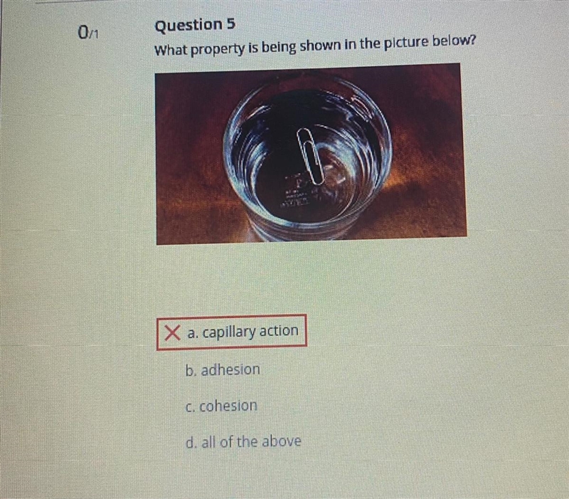 What property is being shown in the picture below? a. capillary action b. adhesion-example-1