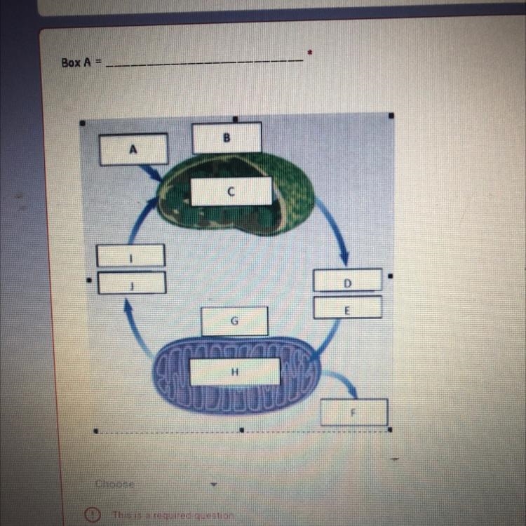 1 point Box A D 1 F Choose This is a required question-example-1