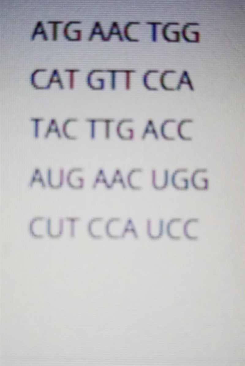 The DNA sequence tac ttg acc must be transcribed before it is read. what is the correct-example-1