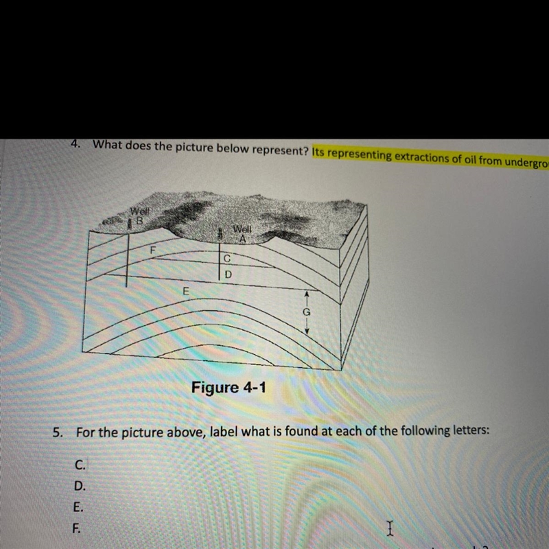 Anyone know this for bio-example-1