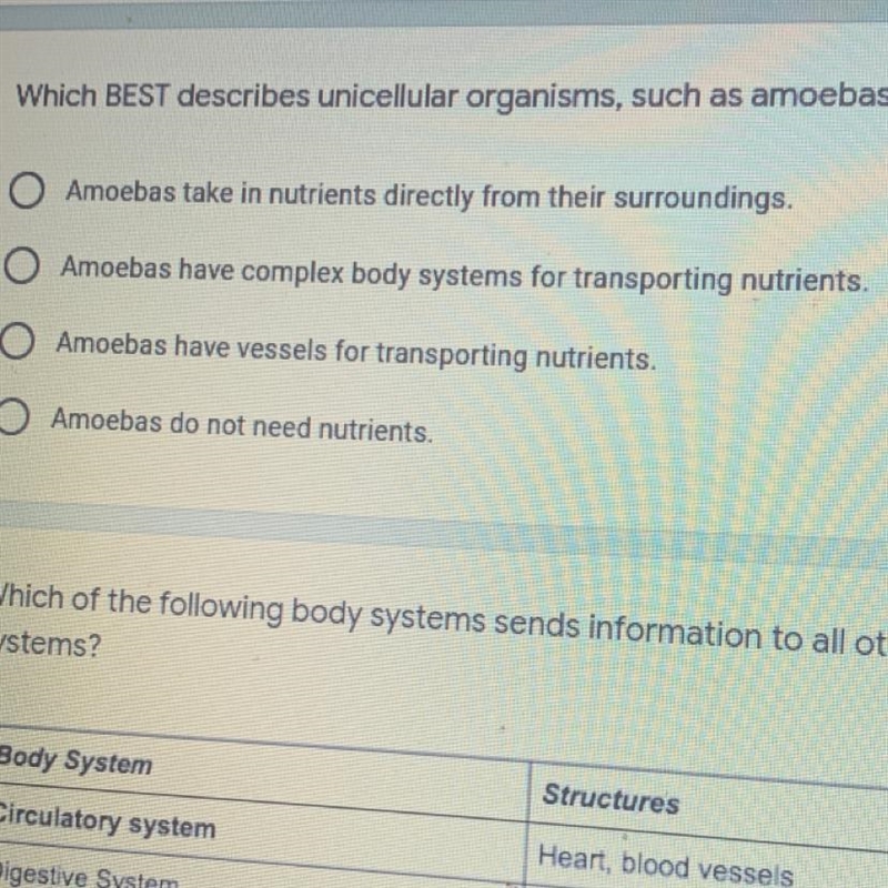 Which best describes unicellular organisms, such as amoebas?-example-1