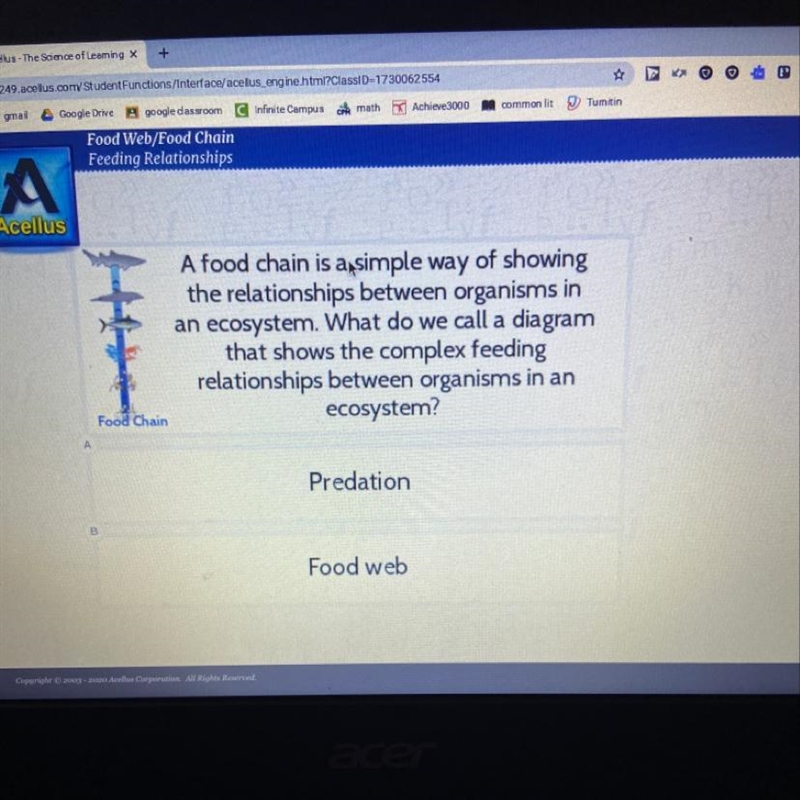 A food chain is a simple way of showing the relationships between organisms in an-example-1