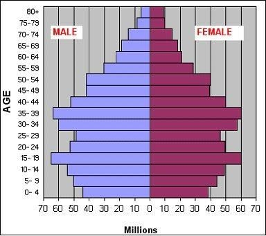 if you were an importer of goods to China, what age group(s) do you think you would-example-1