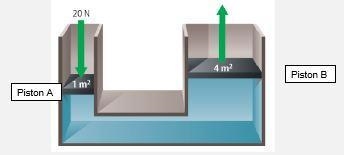 Biology -Calculate the fluid pressure at Piston A. -Calculate the force exerted on-example-1