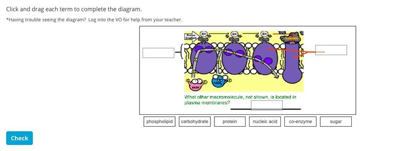 Can you help me on these?-example-1