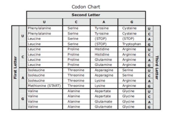 Before DNA is replicated, it reads AGATCGAGT. An external factor causes a mutation-example-1