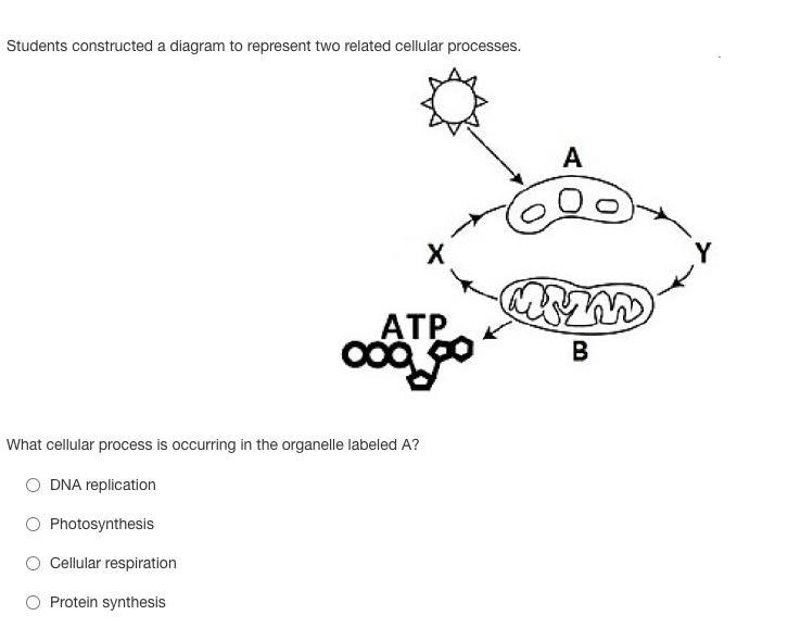 Biology, I need help-example-1