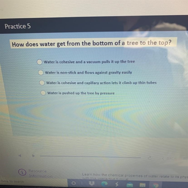 How does water get from the bottom of a tree to the top?-example-1