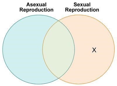 A student makes a Venn diagram as a study aid to compare asexual reproduction and-example-1