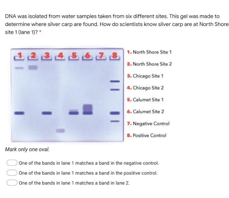 What's the answer to this?-example-1