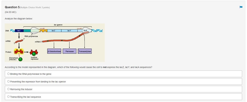 Analyze the diagram below: According to the model represented in the diagram, which-example-1