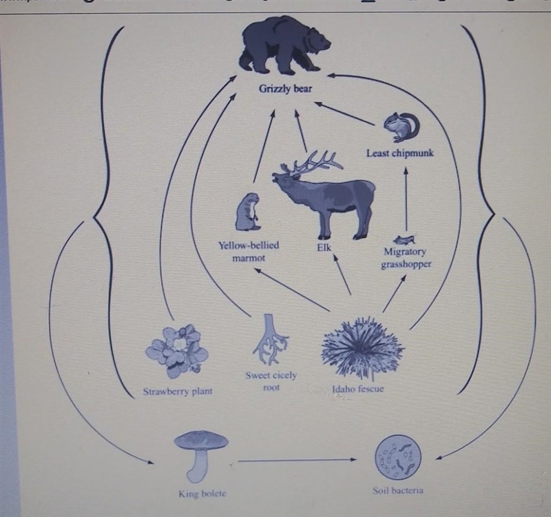 a partial food web for organisms in yellowstone National Park is shown below. which-example-1