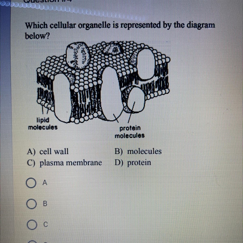 Need help please ASAP-example-1